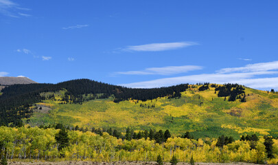 Fall colors, aspen, Breckenridge, Boreas Pass Road, Kenosha Pass, Como, South Park, Colorado
