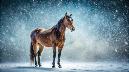 Resilient horse standing strong in a snowstorm , resilience, strength, tranquility, horse, snowstorm, winter