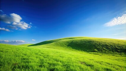 Fototapeta premium Grass field on hill with a clear blue sky , nature, outdoors, landscape, hilltop, rural, scenic, countryside, meadow, tranquil