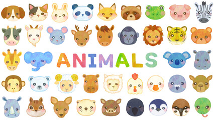 Obraz premium かわいい動物のイラストセット 顔 正面 アイコン