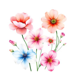 Bouquet of spring flowers isolated on transparent background. Watercolor style.