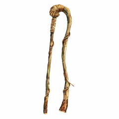 Watercolor illustration of a shepherds staff detailed and rustic