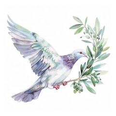 Obraz premium Watercolor illustration of a detailed dove carrying an olive branch clipart
