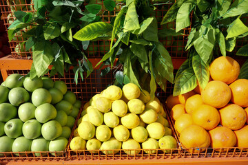 A Vibrant Display of Fresh Citrus Fruits and Green Options at the Local Market Today