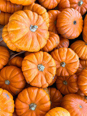 Small orange pumpkins background - looking down 