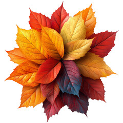 Colorful Autumn Leaves