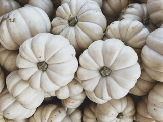 Small white pumpkins background - top view