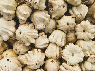 Small white gourds background