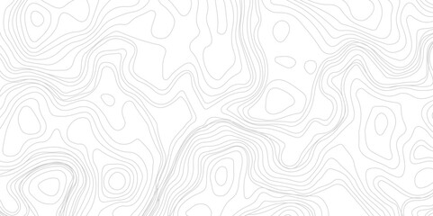 White wave paper curved reliefs abstract background. Vector contour topographic map background. Conditional geography