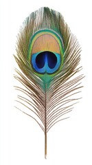 Obraz premium Close-Up of a Vibrant Peacock Feather with Intricate Patterns and Brilliant Colors