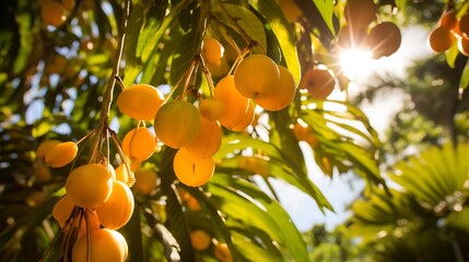 Closeup of nance fruits hanging branch tropical forest sunlight filtering through leaves distant ocean softly blurred behind capturing beauty of untouched nature Scientific name Byrsonima crassifolia