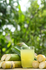 Drink from sugar cane juice, squeezed sugar cane juice with sugar cane stalks and natural background