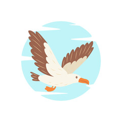 Cute Albatross Bird Animal Flying Free Flapping Wings in Bright Sky
