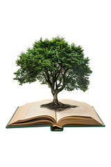 Tree emerging into an open book, isolated against a transparent background