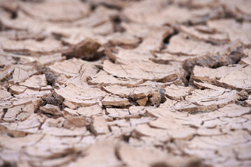 Dry Cracked Earth Surface in Bright Light