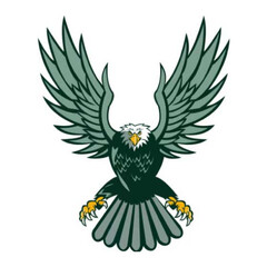 Premium Vector | Black Falcon A Vector Logo Design. Bald eagle with  flag color vector image. Vintage hand drawn of eagle and snake battle vector image.