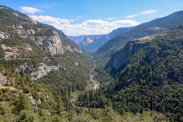 Obraz premium Breathtaking view of Yosemite Valley from Big Oak Flat Road, showcasing towering granite cliffs, lush forests, and the winding Merced River nestled in the heart of Yosemite National Park.