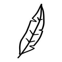 banana leaf hand drawn