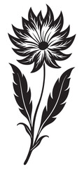 Phoenix flower silhouette vector on a white background