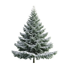 Snowy Christmas pine tree isolated on white background. Full depth of field