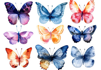 set of colorful butterflies isolated on white