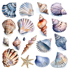 set of sea shells on white