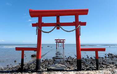 大魚神社の海中鳥居