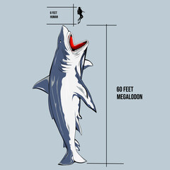 The megalodon, an extinct species that lived in tropical seas. Proportion of the megalodon and man in action.