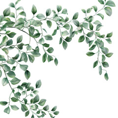 Leaves Branch Flow Isolated on Transparent or White Background, PNG
