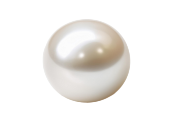 Shimmering white natural pearl Isolated on transparent or white background