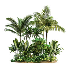 Serene Tropical Trees Isolated on Transparent or White Background, PNG