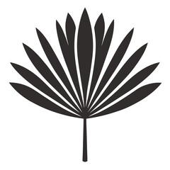 Chinese Fan Palm plant leaf Silhouette vector line art illustration