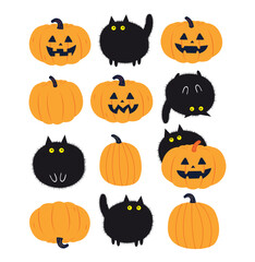 Halloween graphic elements - pumpkins, cat. Vector illustration.
