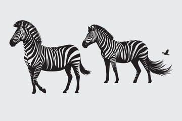 Zebra vector illustration and Zebra head vector silhouette