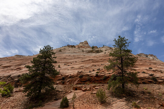 Zion National Park ZNP Sunset