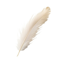 Obraz premium Soft White Feather With Delicate Texture Isolated On A White Background
