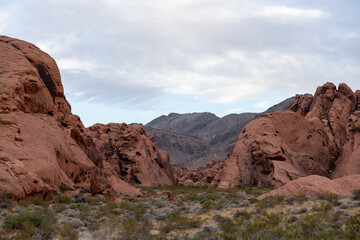 Fototapeta premium Zion National Park ZNP Sunset