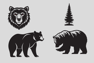 bear vector and bear head illustration