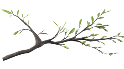 A branch ranting adorned with delicate pink blossoms, emphasizing springtime beauty against a transparent background.