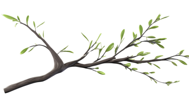 A branch ranting adorned with delicate pink blossoms, emphasizing springtime beauty against a transparent background.