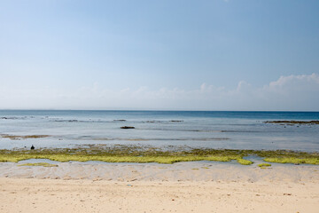 rocky beach in Lombok