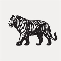 tiger isolated on white background