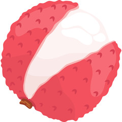 Fruit, Lychee, Tropical Fruits, Illustration Hand drawn