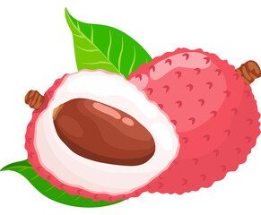 Fruit, Lychee, Tropical Fruits, Illustration Hand drawn