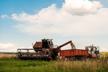 Fototapeta premium an old combine harvester unloads grain into a truck