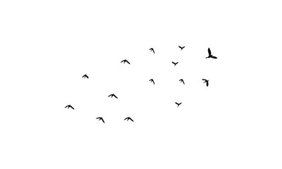 Flying Birds Vector Illustration Collection. 