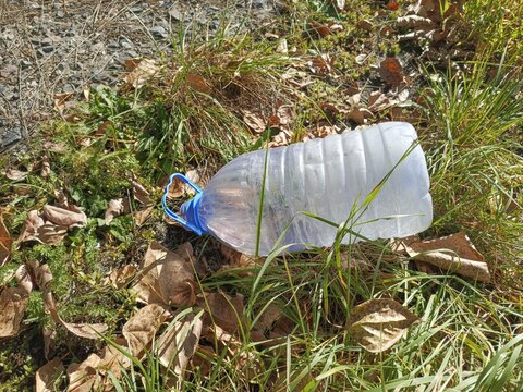 A plastic bottle lies in the grass in the forest. Throwing garbage in the wrong place is the most. Pollution of nature with plastic. Environmental problems.