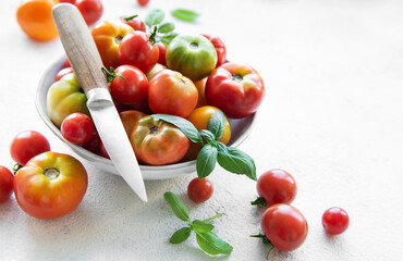 Freshly harvested tomatoes and herbs arranged in a bowl with a knife on a bright kitchen countertop