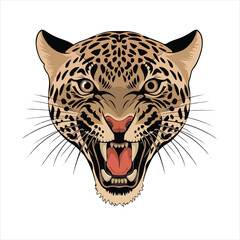  animal vector and Tiger head vector illustration