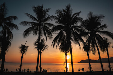 Silhouettes of vacationing people and palm trees on the beach by the sea in summer morning at sunrise at a resort in Asia